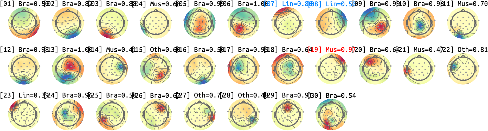 figs/sub-07_ses-17_run-05.png