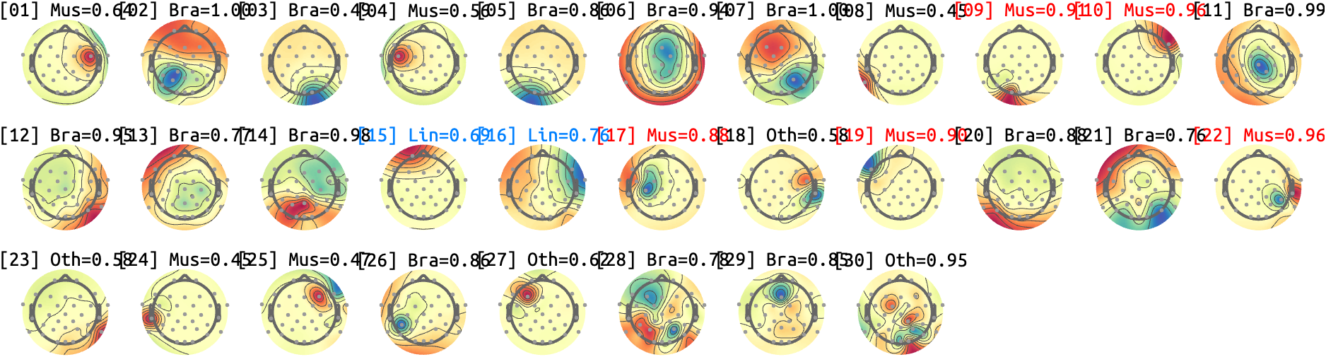 figs/sub-07_ses-17_run-06.png