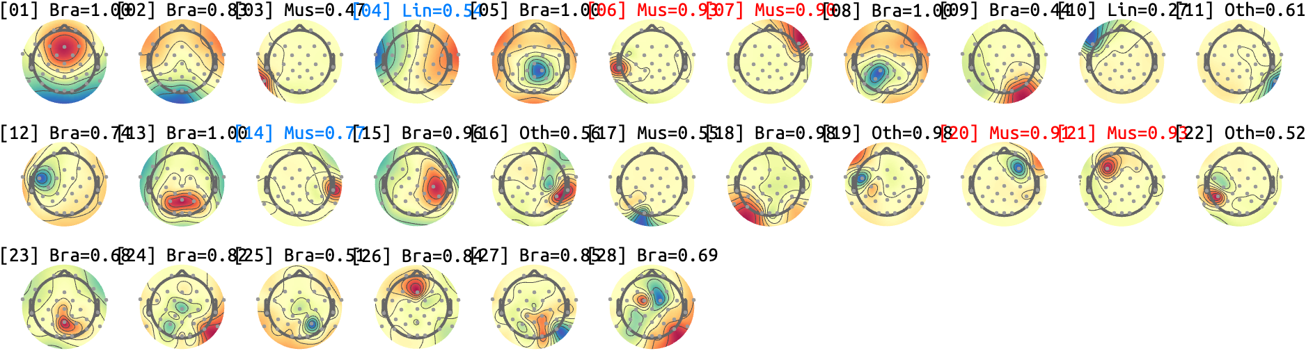 figs/sub-07_ses-17_run-09.png