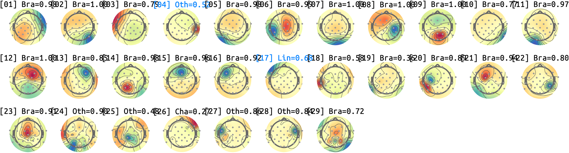 figs/sub-10_ses-17_run-02.png